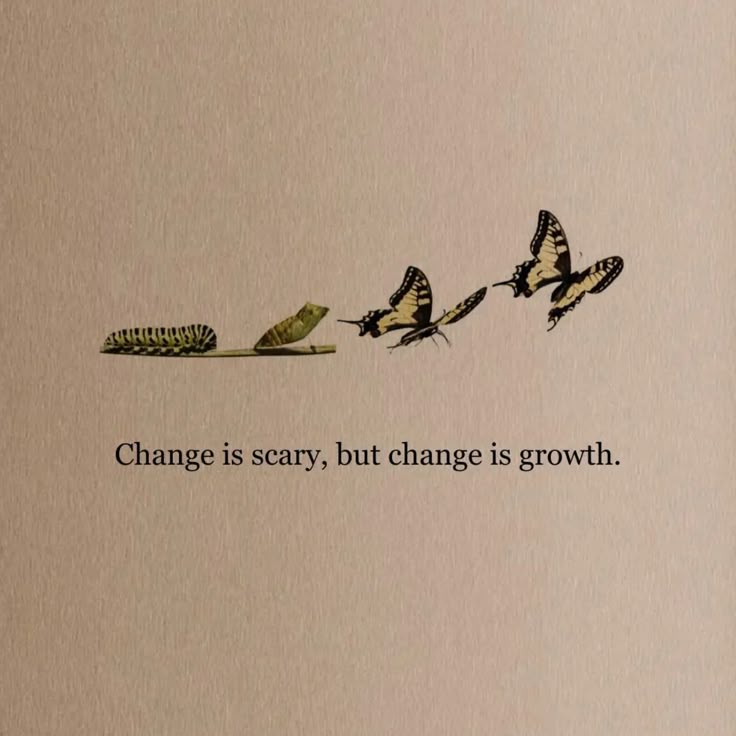 grow mindset